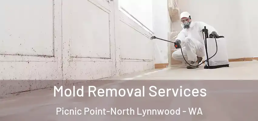  Mold Removal Services Picnic Point-North Lynnwood - WA