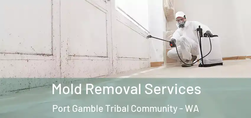  Mold Removal Services Port Gamble Tribal Community - WA