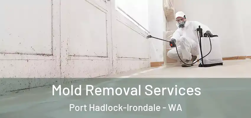 Mold Removal Services Port Hadlock-Irondale - WA