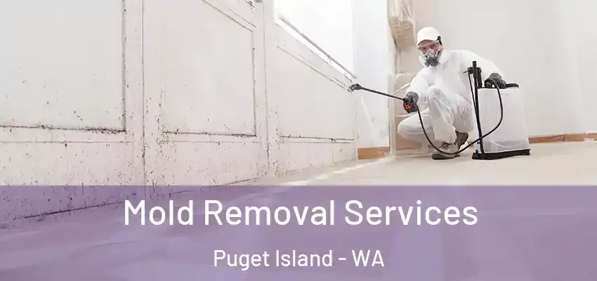  Mold Removal Services Puget Island - WA