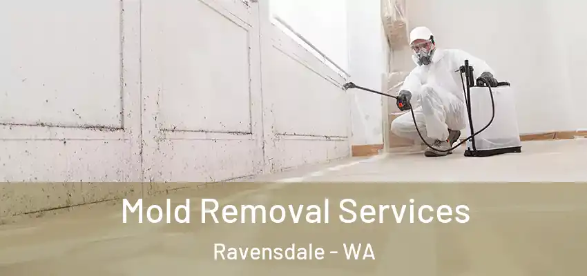  Mold Removal Services Ravensdale - WA