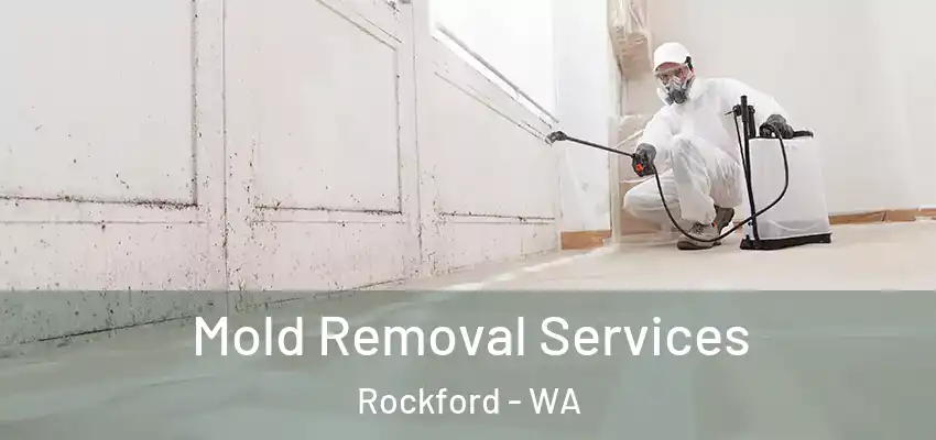 Mold Removal Services Rockford - WA