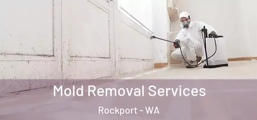  Mold Removal Services Rockport - WA