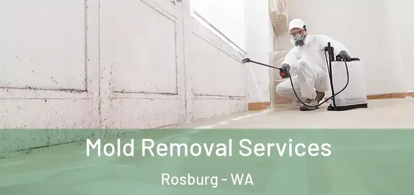  Mold Removal Services Rosburg - WA
