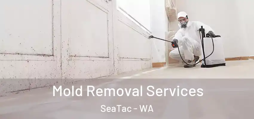Mold Removal Services SeaTac - WA