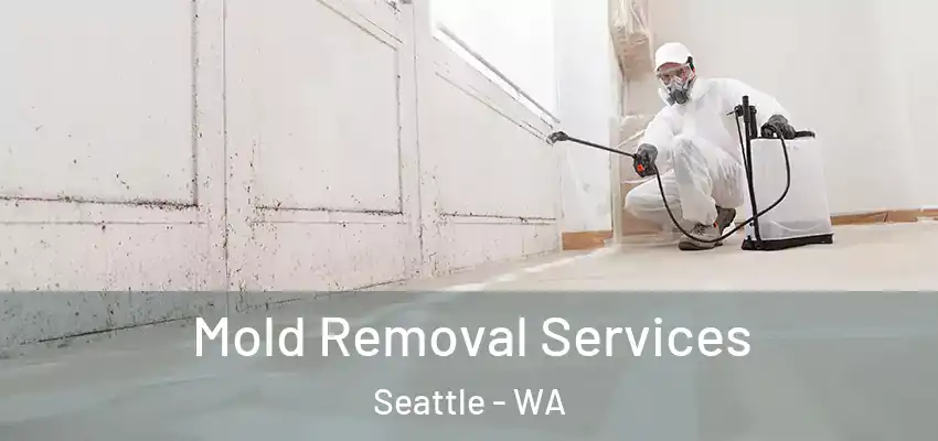  Mold Removal Services Seattle - WA