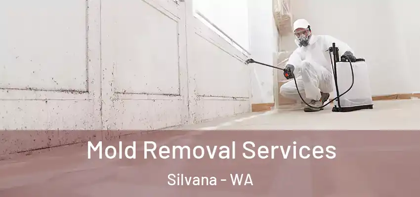  Mold Removal Services Silvana - WA