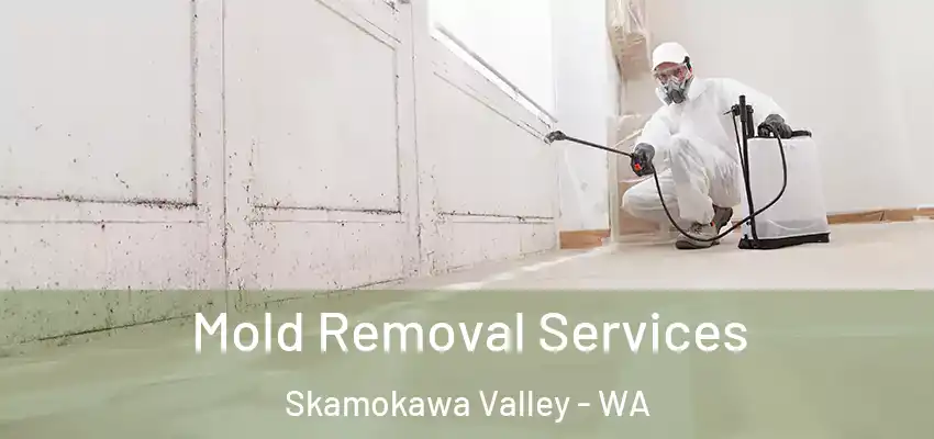  Mold Removal Services Skamokawa Valley - WA