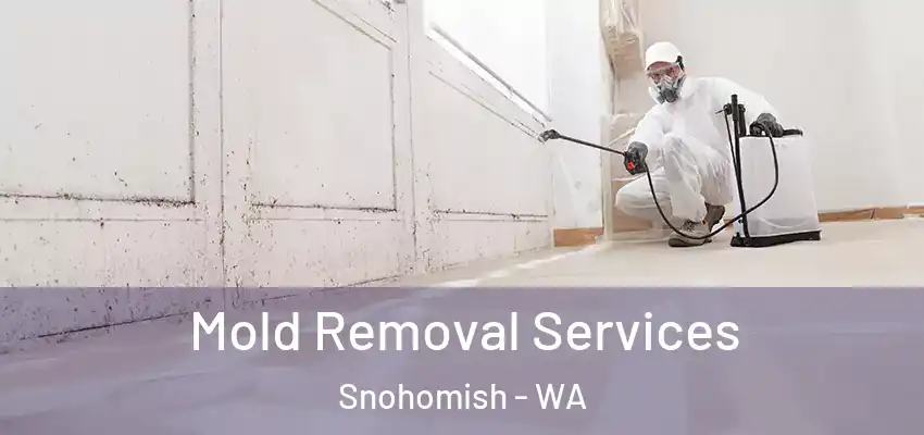  Mold Removal Services Snohomish - WA