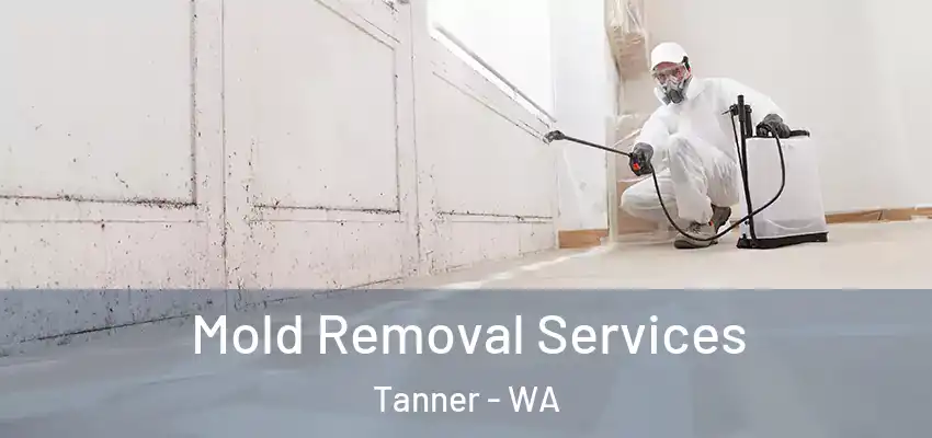  Mold Removal Services Tanner - WA