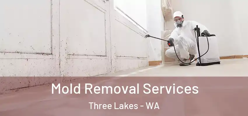  Mold Removal Services Three Lakes - WA