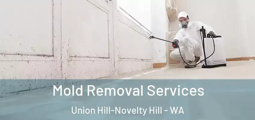  Mold Removal Services Union Hill-Novelty Hill - WA
