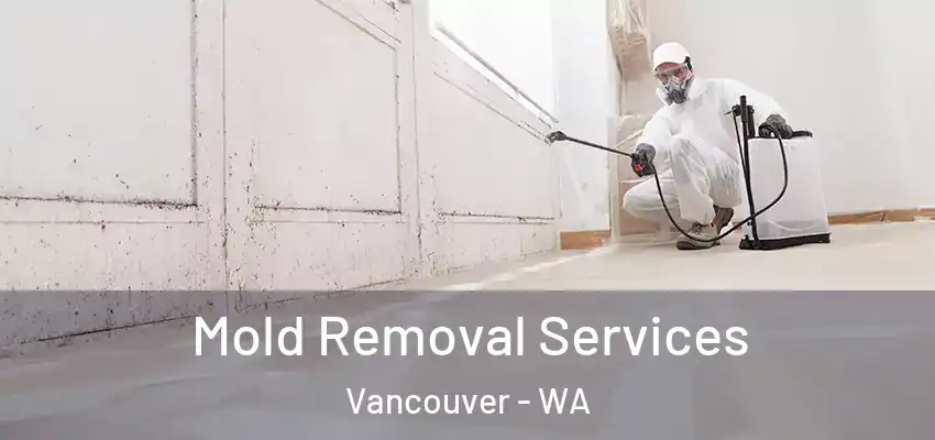  Mold Removal Services Vancouver - WA