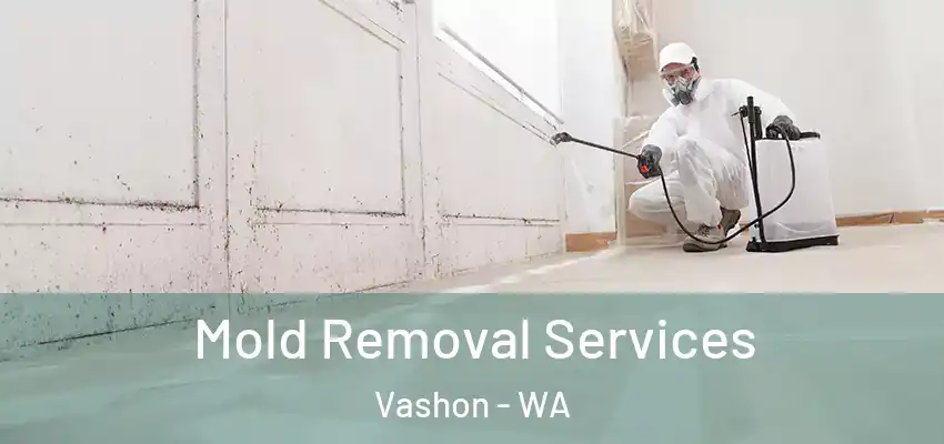  Mold Removal Services Vashon - WA