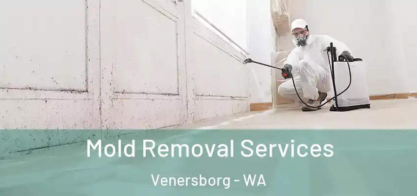  Mold Removal Services Venersborg - WA