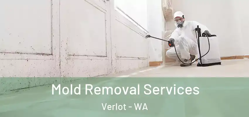  Mold Removal Services Verlot - WA