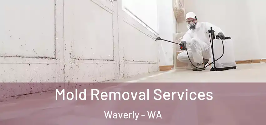  Mold Removal Services Waverly - WA