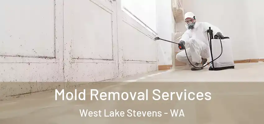  Mold Removal Services West Lake Stevens - WA