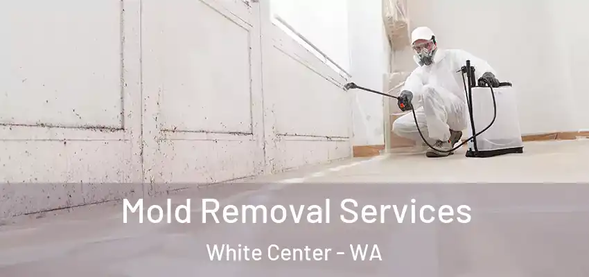  Mold Removal Services White Center - WA