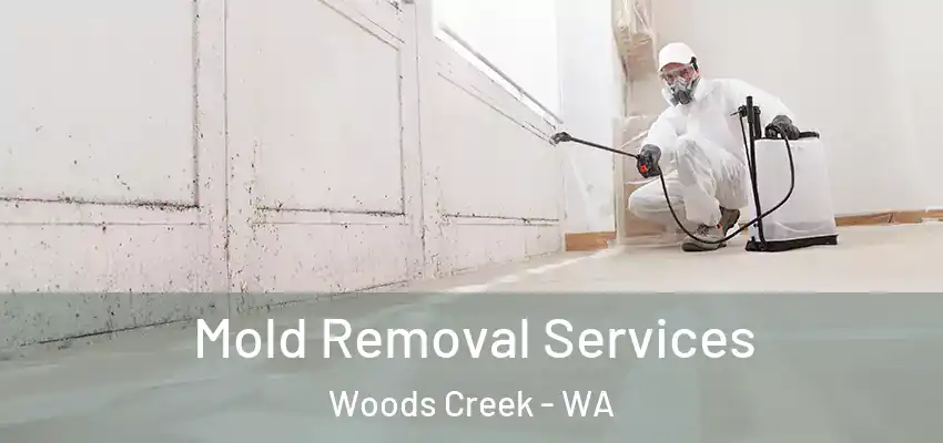  Mold Removal Services Woods Creek - WA