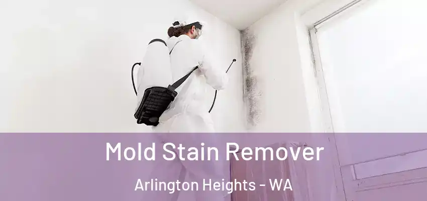  Mold Stain Remover Arlington Heights - WA
