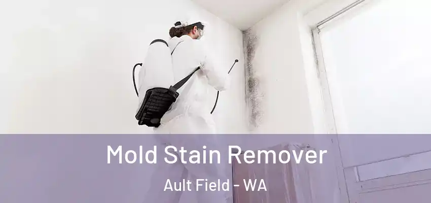  Mold Stain Remover Ault Field - WA