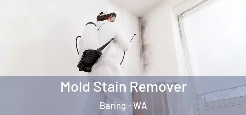  Mold Stain Remover Baring - WA