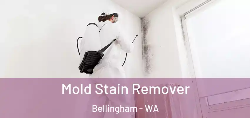  Mold Stain Remover Bellingham - WA