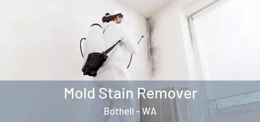  Mold Stain Remover Bothell - WA
