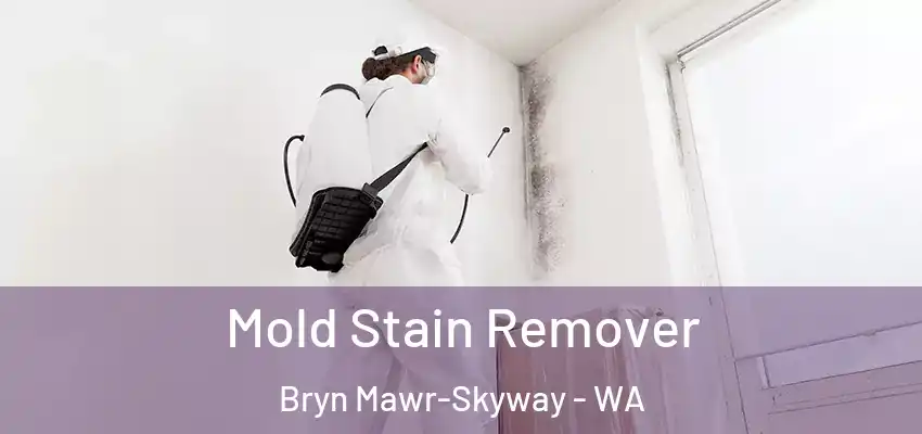 Mold Stain Remover Bryn Mawr-Skyway - WA