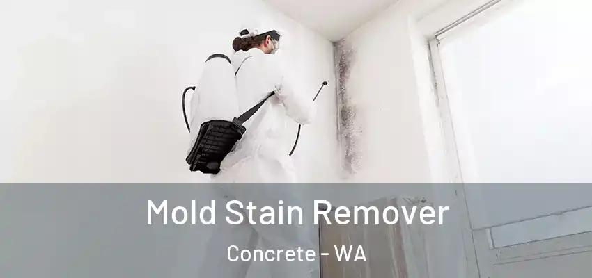  Mold Stain Remover Concrete - WA