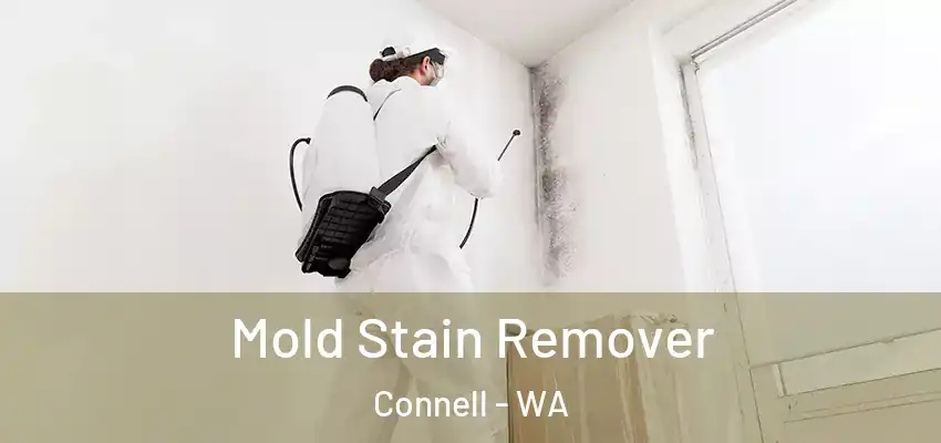  Mold Stain Remover Connell - WA