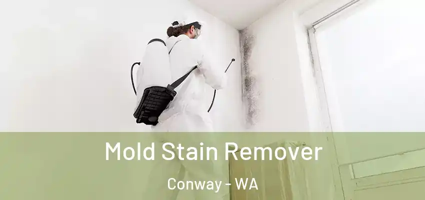  Mold Stain Remover Conway - WA