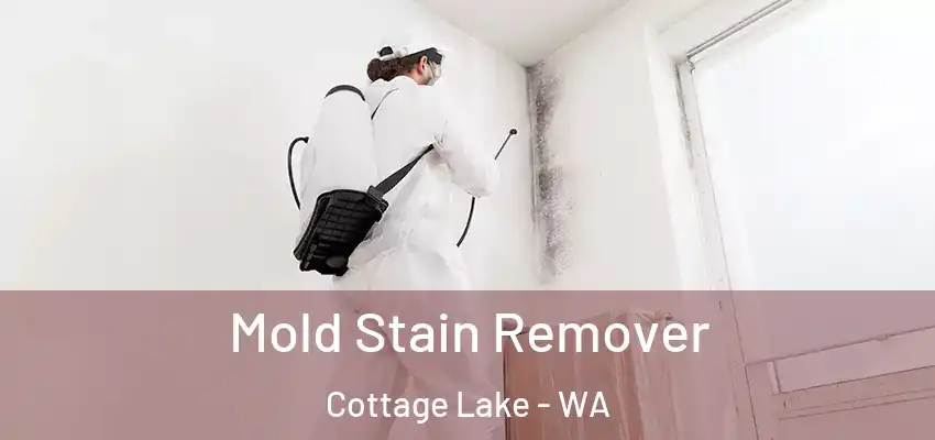  Mold Stain Remover Cottage Lake - WA