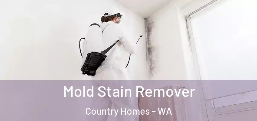  Mold Stain Remover Country Homes - WA