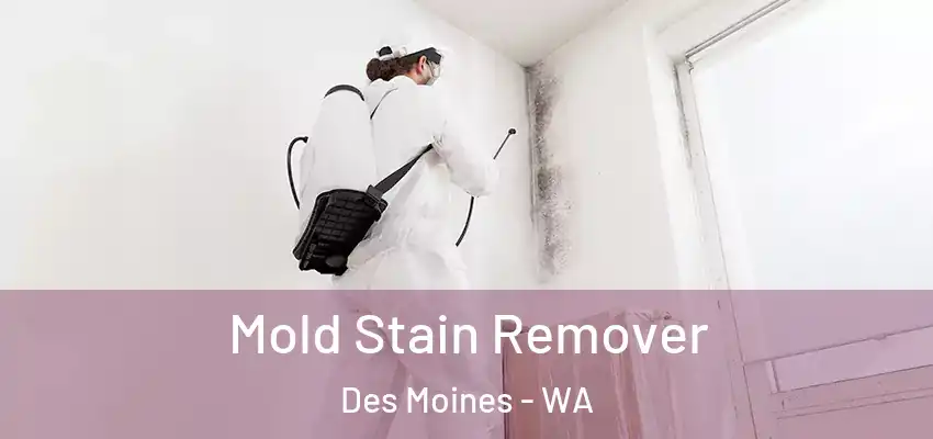  Mold Stain Remover Des Moines - WA