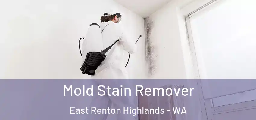  Mold Stain Remover East Renton Highlands - WA