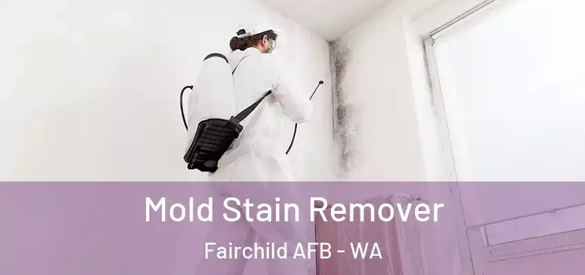 Mold Stain Remover Fairchild AFB - WA