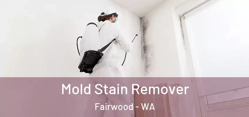  Mold Stain Remover Fairwood - WA