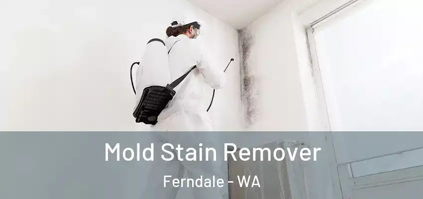  Mold Stain Remover Ferndale - WA