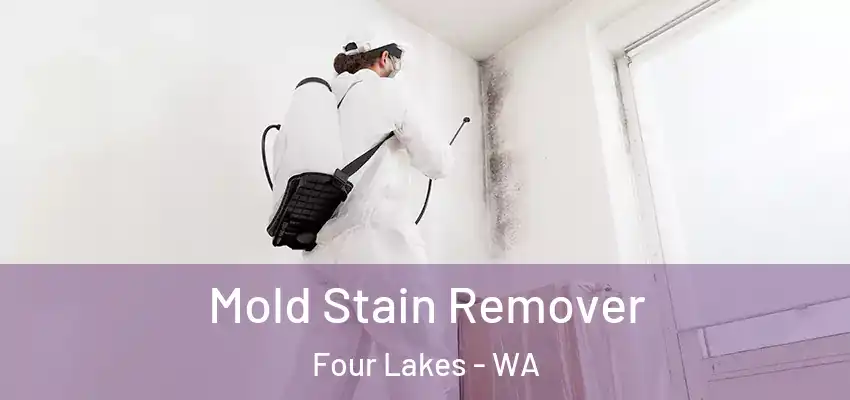  Mold Stain Remover Four Lakes - WA