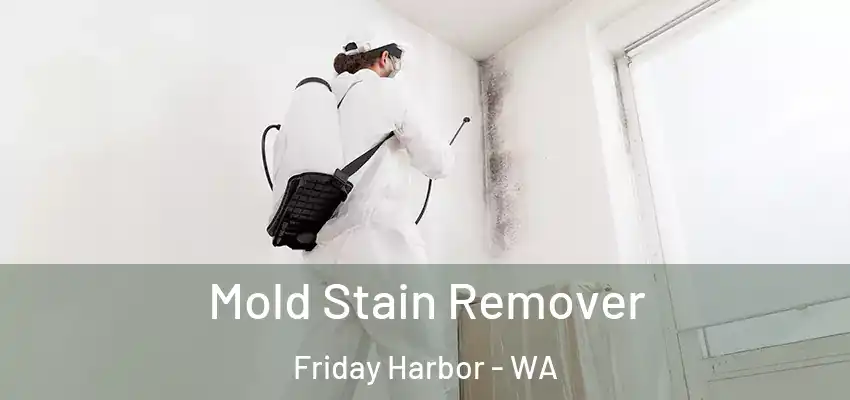  Mold Stain Remover Friday Harbor - WA