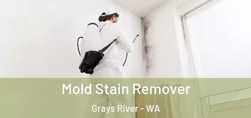  Mold Stain Remover Grays River - WA