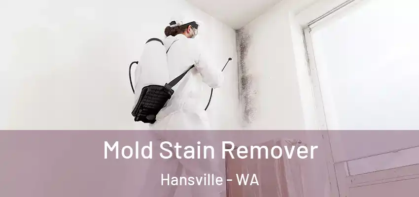 Mold Stain Remover Hansville - WA