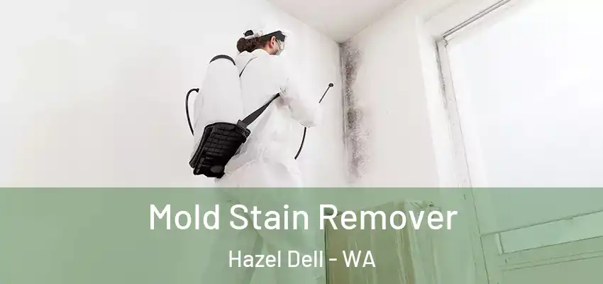  Mold Stain Remover Hazel Dell - WA