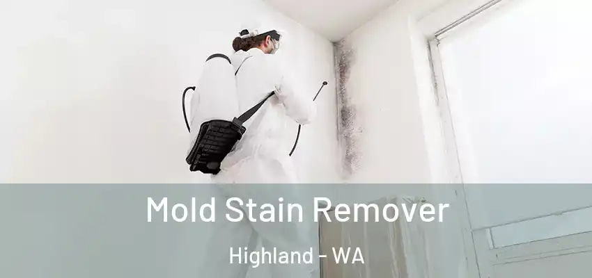 Mold Stain Remover Highland - WA