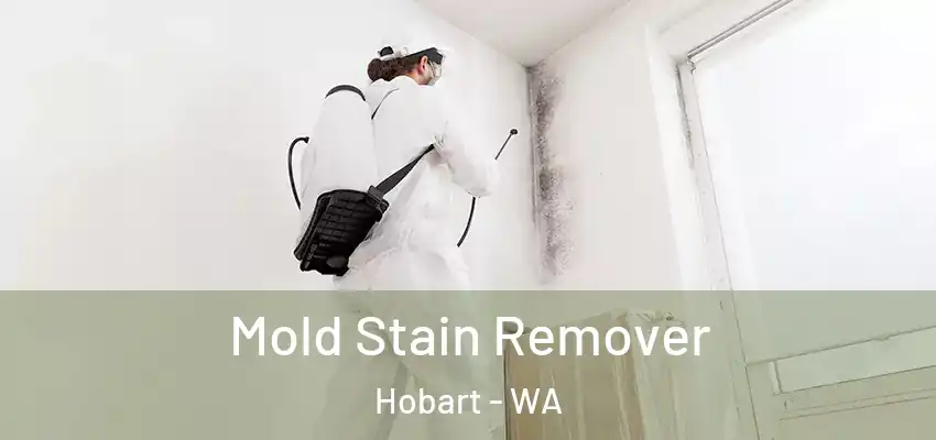  Mold Stain Remover Hobart - WA
