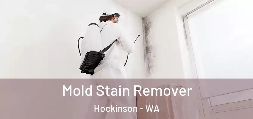  Mold Stain Remover Hockinson - WA