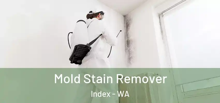  Mold Stain Remover Index - WA