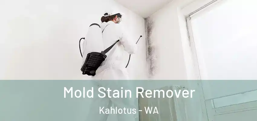  Mold Stain Remover Kahlotus - WA